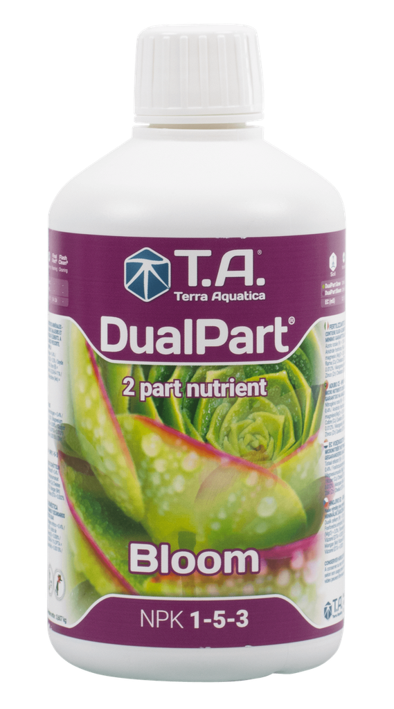 T. A. DualPart Bloom