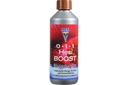 Hesi Boost