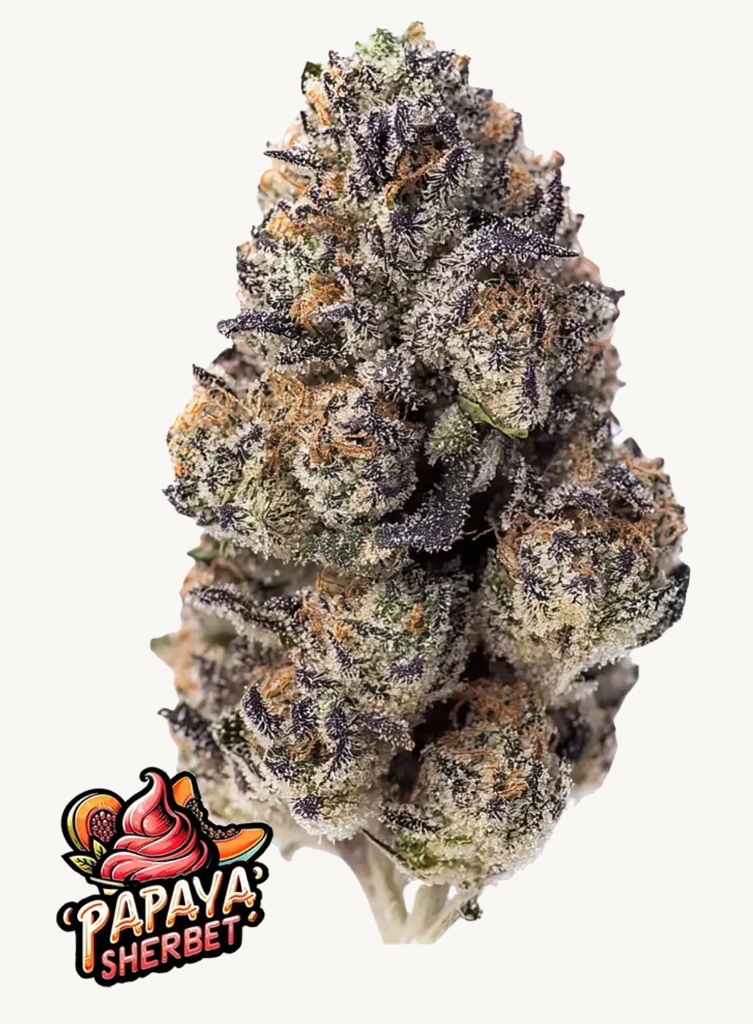 Fast Buds Papaya Sherbet Fem 3St.
