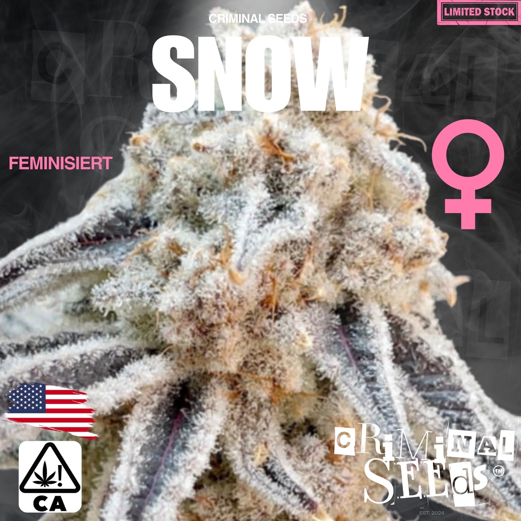 [BT-16960] Criminal Seeds Snow x Cali Fem 3St.