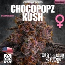 Criminal Seeds Chocopopz Kush Fem 3St.