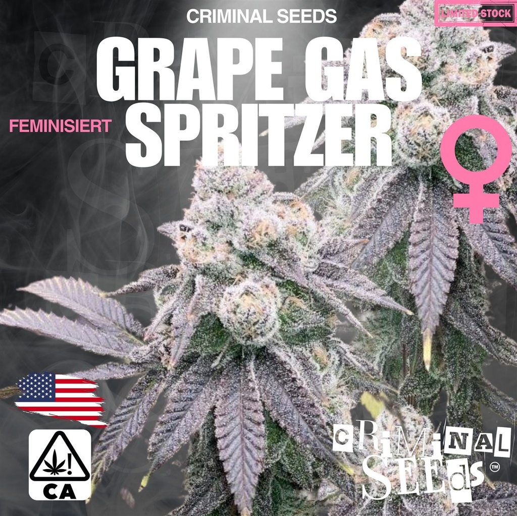 [BT-16962] Criminal Seeds Grape Gas Spritzer Fem 3St.