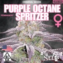 Criminal Seeds Purple Octane Spritzer Fem 3St.