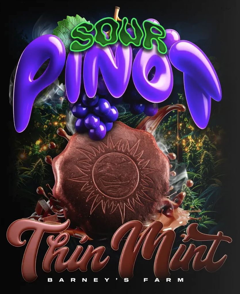 [BT-16984] Barneys Farm Thin Mint x Sour Pinot Auto Fem 3St.