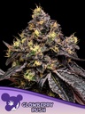 Anesia Glowberry Rush Fem 3St.