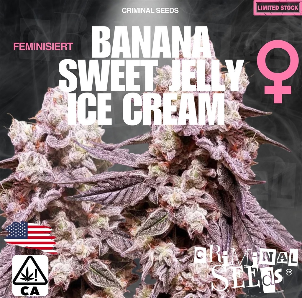 [BT-17069] Criminal Seeds Banana Sweet Jelly Ice Cream x Cali Fem 3St.