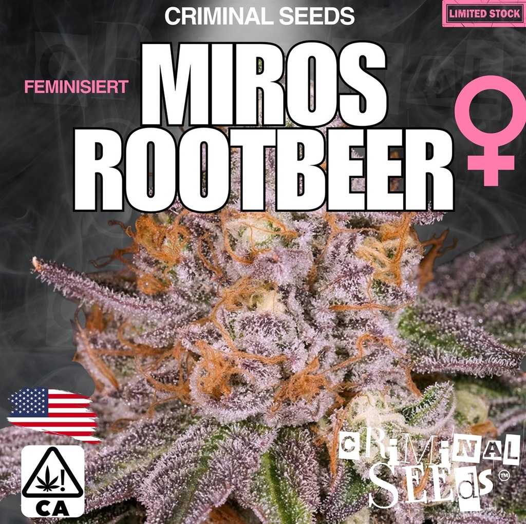 [BT-17078] Criminal Seeds Miros Rootbeer x Cali Fem 3St.