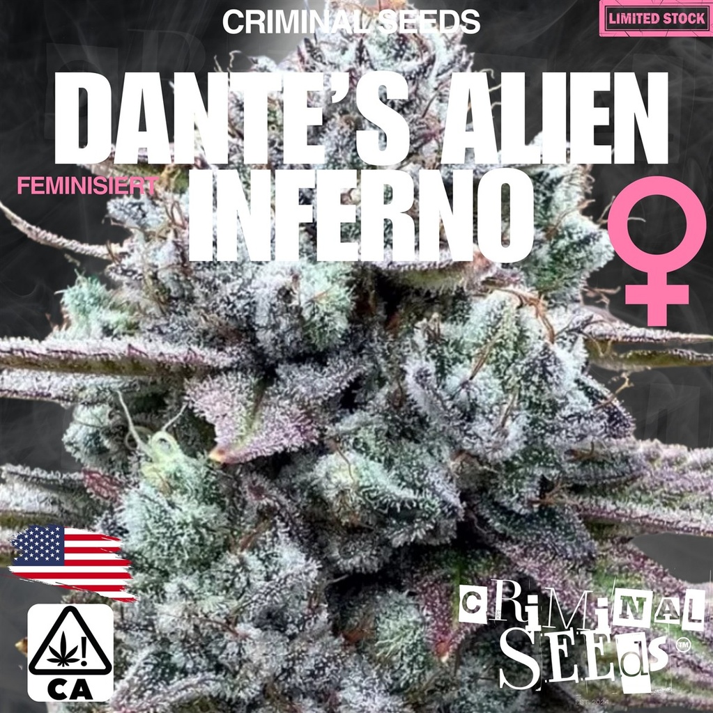 [BT-17079] Criminal Seeds Dantes Alien Inferno x Cali Fem 3St.