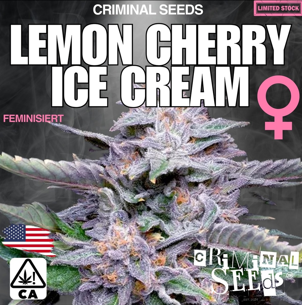 [BT-17080] Criminal Seeds Lemon Cherry Ice Cream x Cali Fem 3St.
