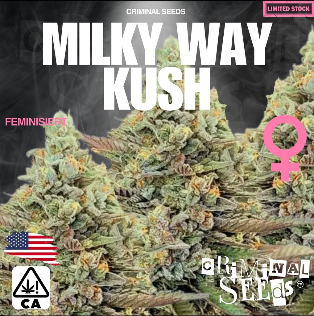 [BT-17081] Criminal Seeds Milky Way Kush x Cali Fem 3St.