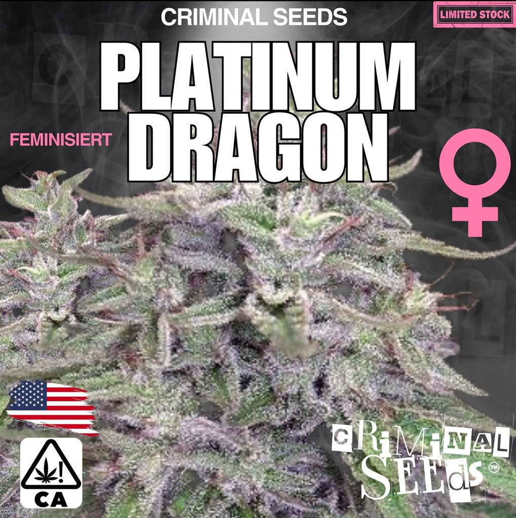 [BT-17152] Criminal Seeds Platinum Dragon x Cali Fem 3St.