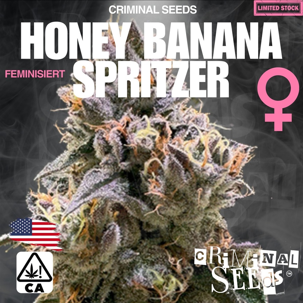 [BT-17153] Criminal Seeds Honey Banana x Spritzer x Cali Fem 3St.