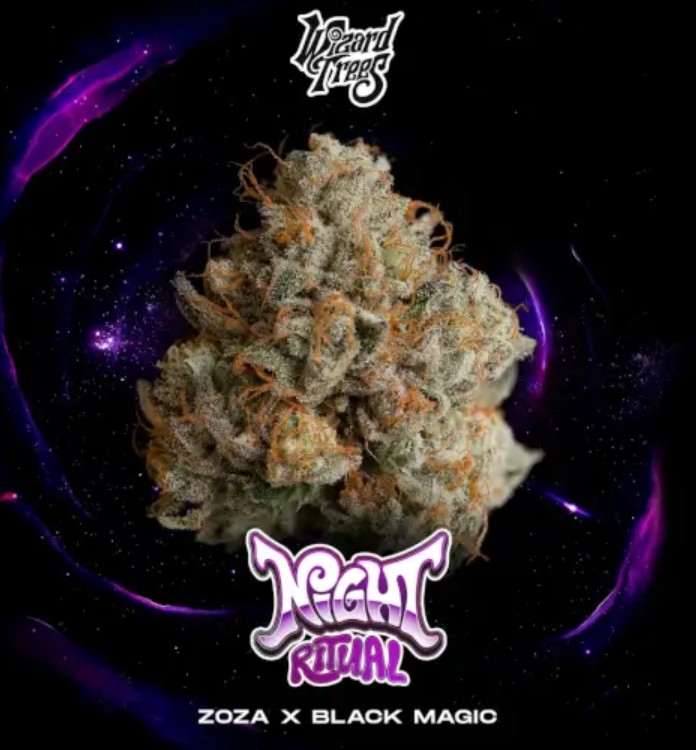 [BT-17270] Wizard Trees Night Ritual Fem 3 St.