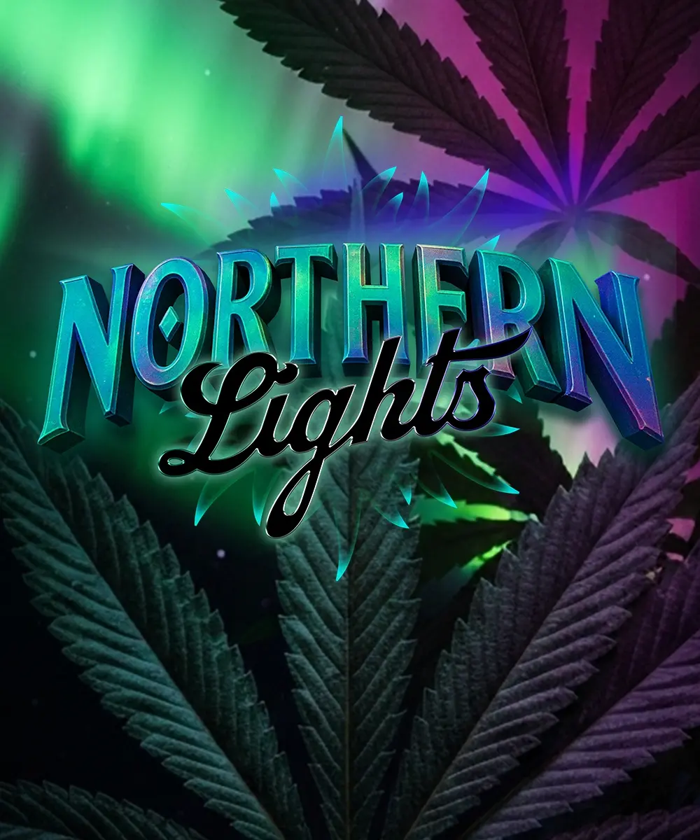 [BT-17282] Barneys Farm Northern Lights Fem 3St.