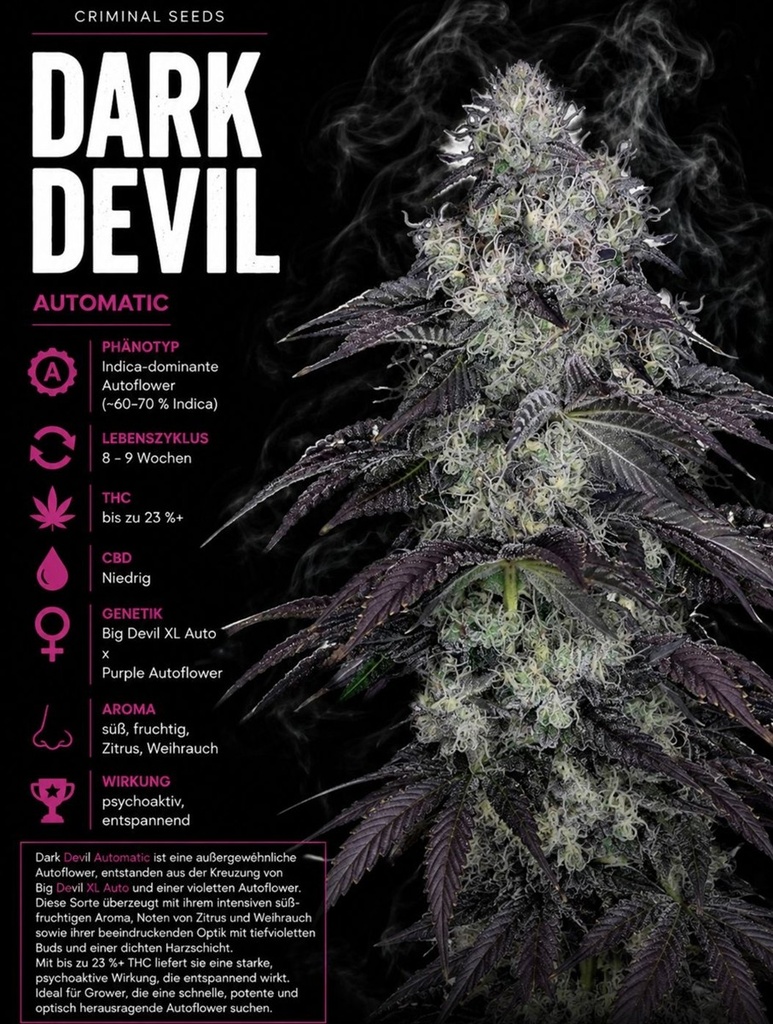 [BT-17320] Criminal Seeds Dark Devil Auto Fem 3St.