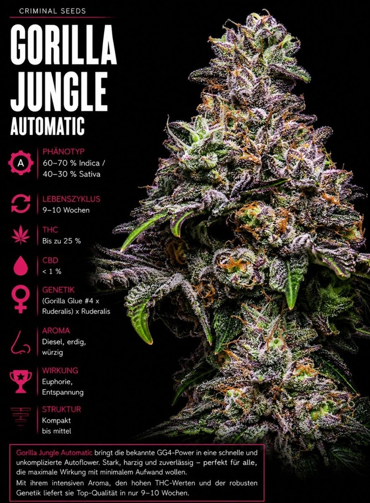 Criminal Seeds Gorilla Jungle x Cali Auto Fem 3St.