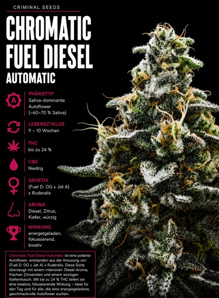 Criminal Seeds Chromatic Fuel Diesel Auto Fem 3St.