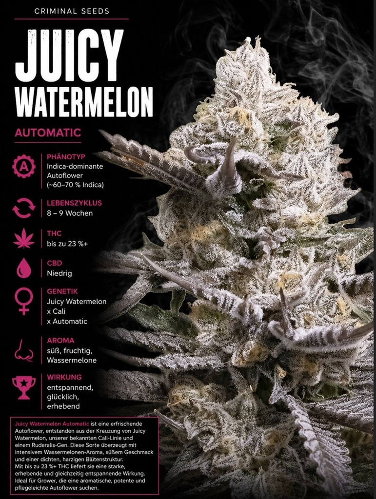 Criminal Seeds Juicy Watermelon Auto Fem 3St.