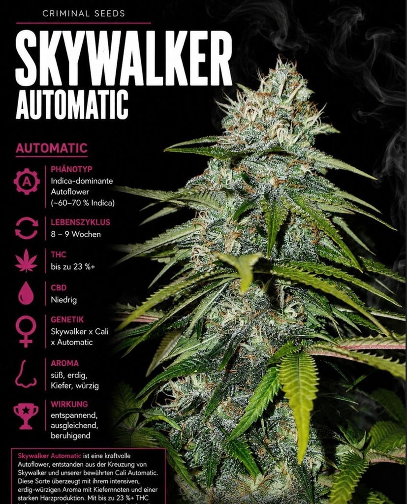 Criminal Seeds Skywalker Auto Fem 3St.