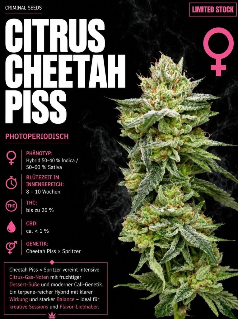 Criminal Seeds Citrus Cheetah Piss Fem 3St.