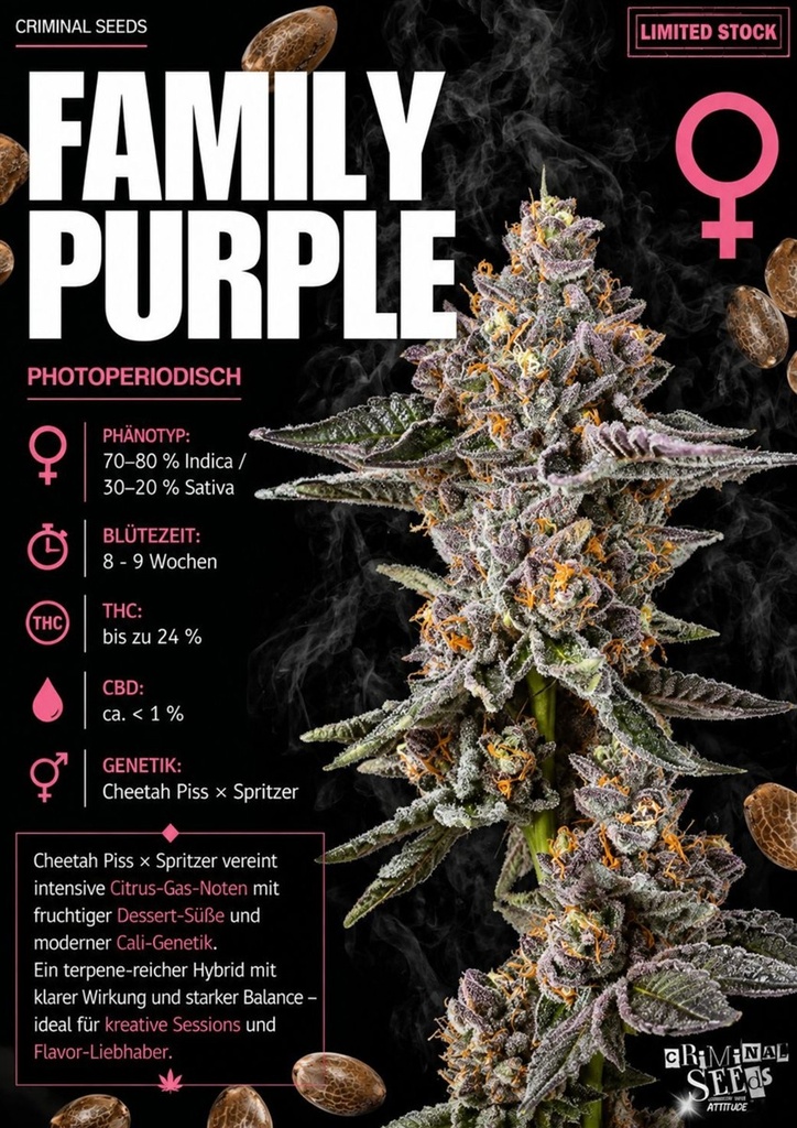 Criminal Seeds Family Purple x Cali Fem 3St.