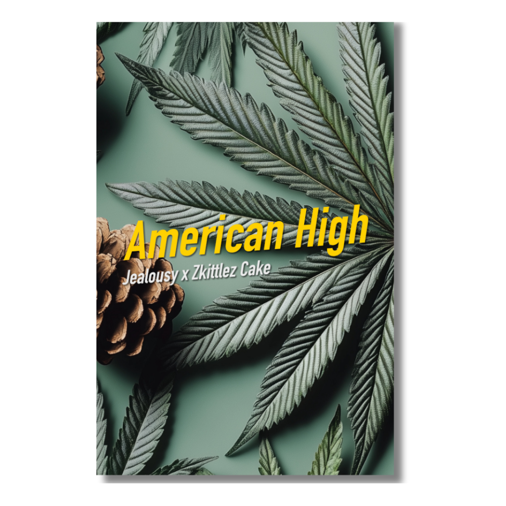 [GF-4922001] Dope Seeds American High 6 Samen