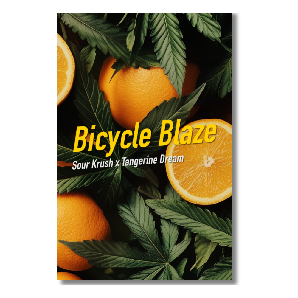 [GF-4922006] Dope Seeds Bicycle Blaze 3 Samen