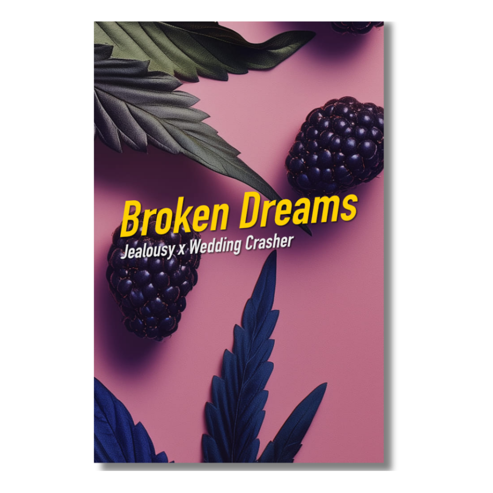 [GF-4922012] Dope Seeds Broken Dreams 3 Samen