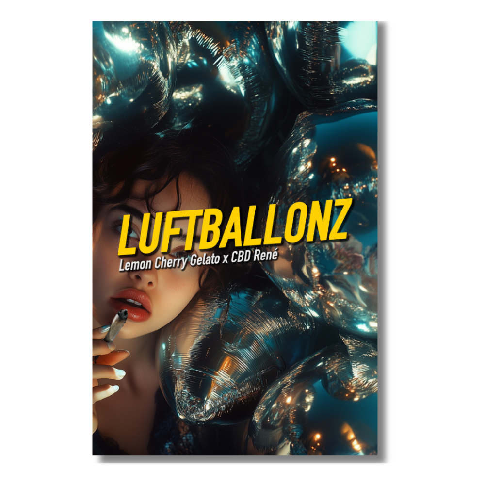 [GF-4922026] Dope Seeds Luftballonz 3 Samen
