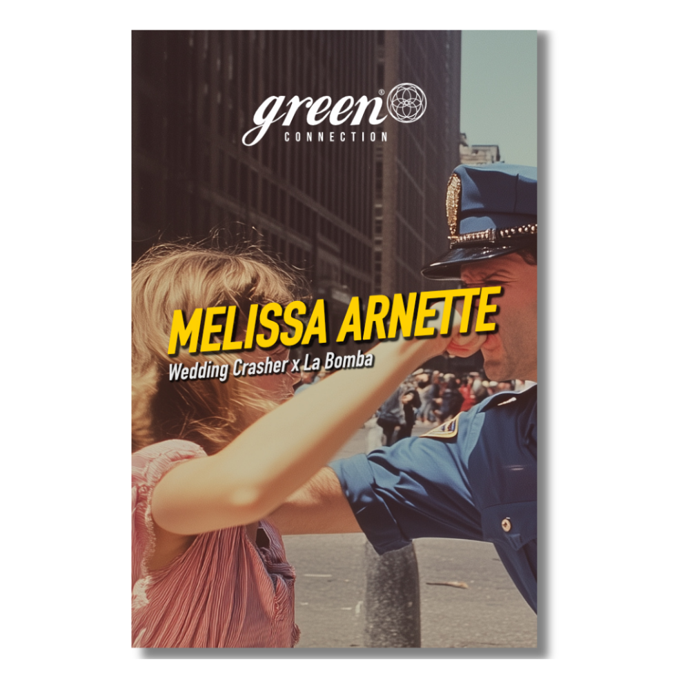 [GF-4922031] Dope Seeds Melissa Arnette 6 Samen