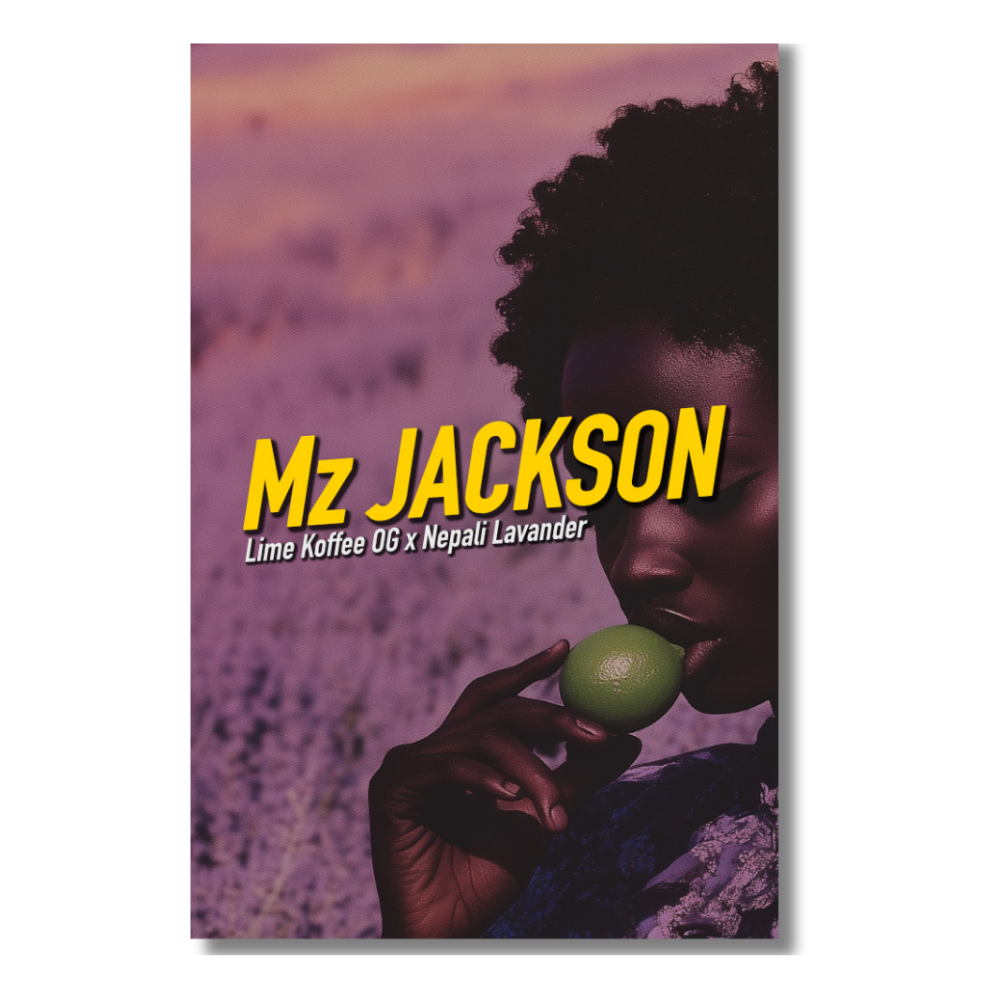 [GF-4922034] Dope Seeds Mz Jackson 3 Samen