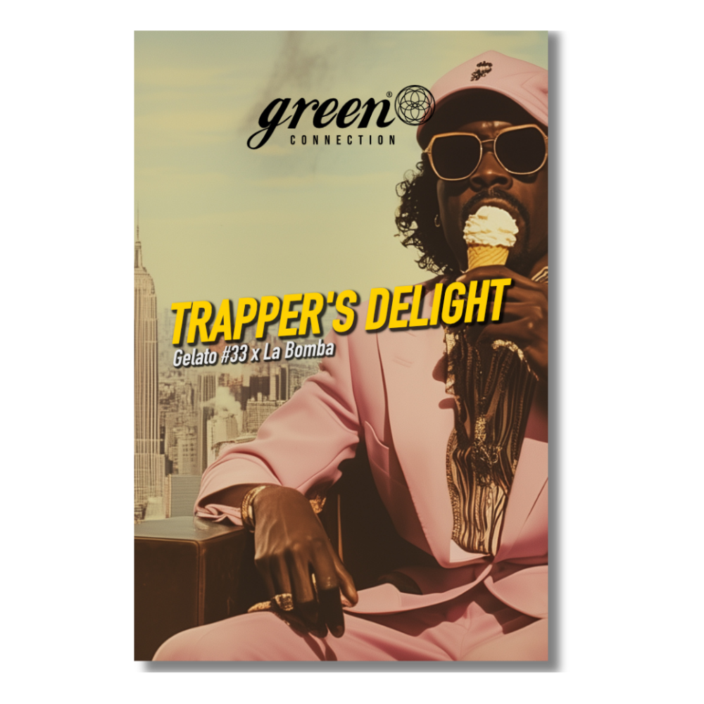 [GF-4922042] Dope Seeds Trapper’s Delight 3 Samen