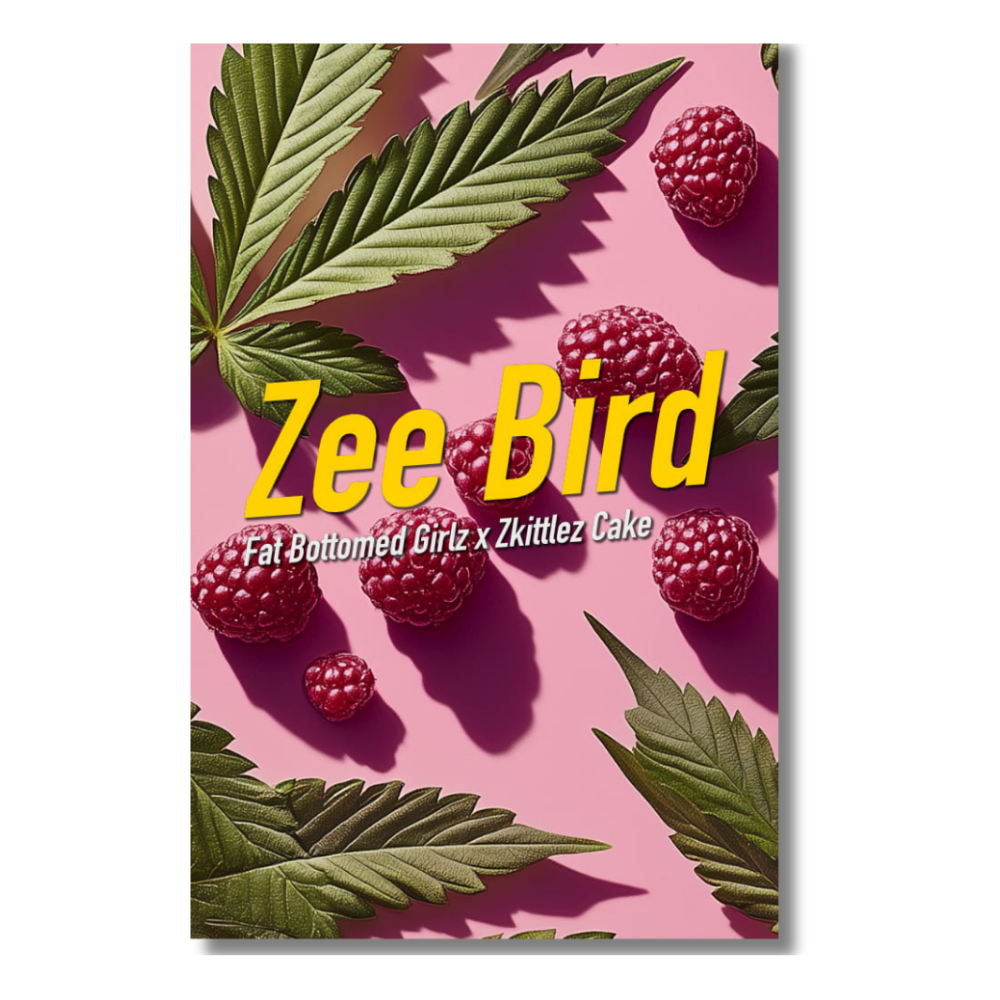 [GF-4922049] Dope Seeds Zee Bird 6 Samen
