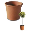 Topf Athena Rund Terracotta