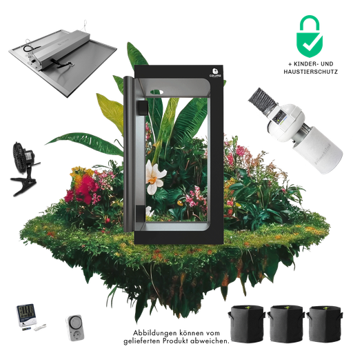 Caluma Set - 3 Plants Premium (100 x 100 cm, 240 W)