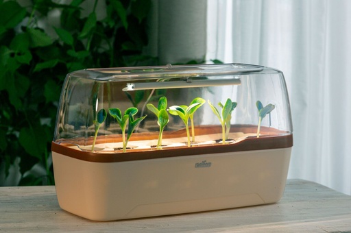 Romberg Gewächshaus LED BoQube L Plus Creme Kupfer