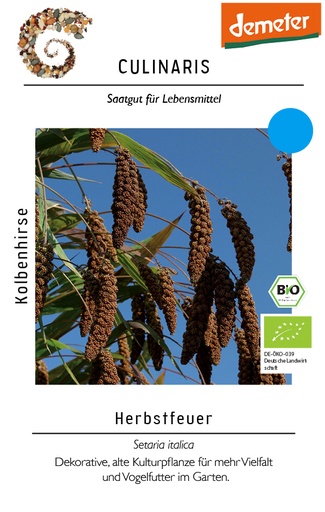 Kolbenhirse Herbstfeuer