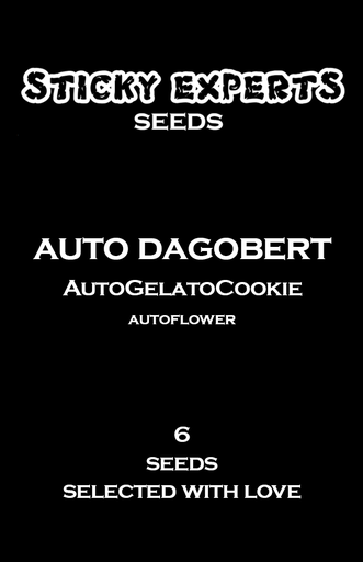 Sticky Experts Auto Dagobert GelatoGoCookie Fem 6St.