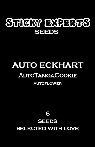 Sticky Experts Auto Eckhart TangaGoCookie Fem 6St.