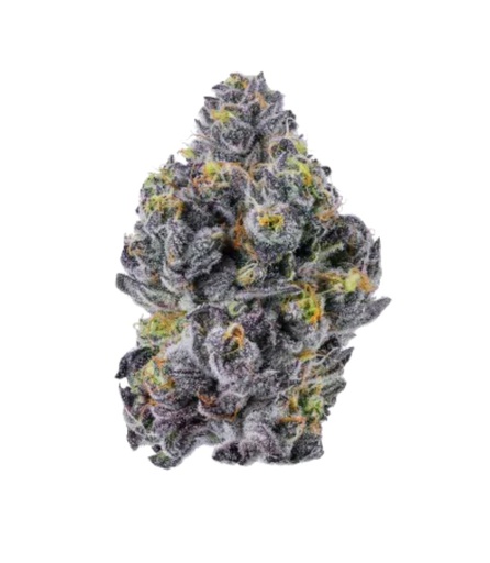 Growers Choice Sticky Wasabi Triploid Fem 3St.