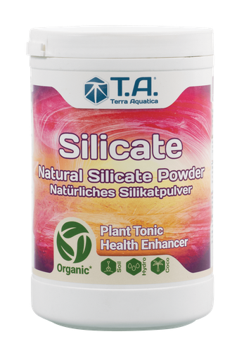 T. A. Silicate