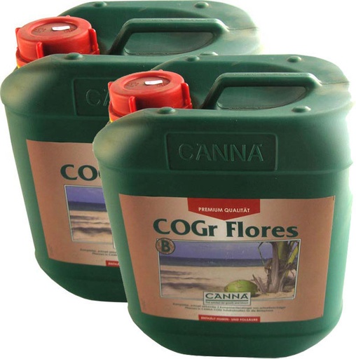 CANNA COGr Flores