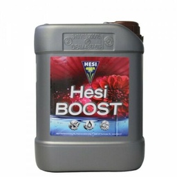 Hesi Boost