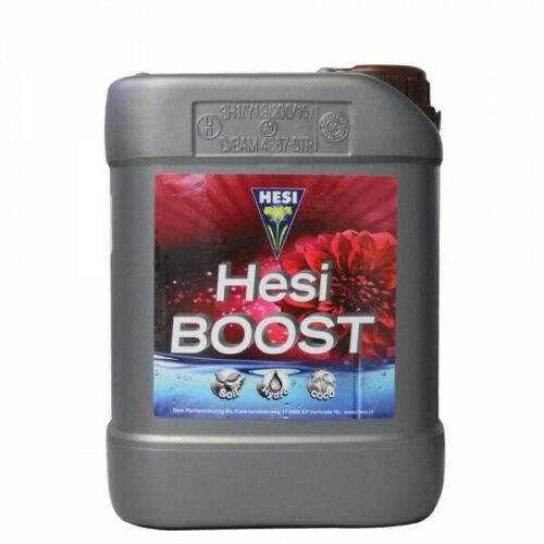 Hesi Boost