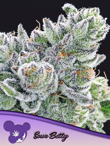 Anesia Sour Betty Fem 3St.