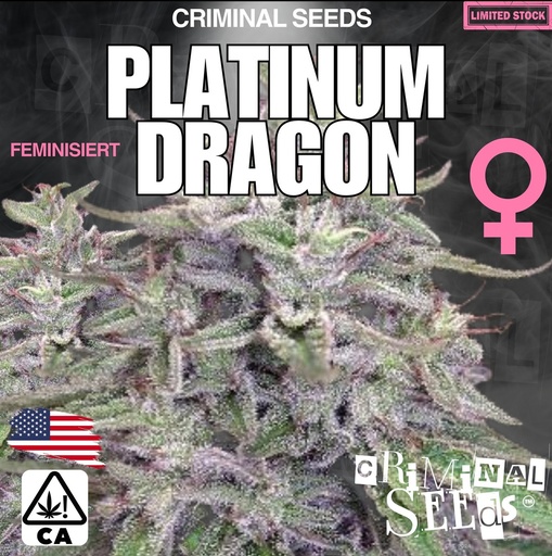 Criminal Seeds Platinum Dragon x Cali Fem 3St.