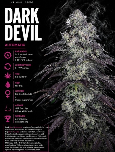 Criminal Seeds Dark Devil Auto Fem 3St.