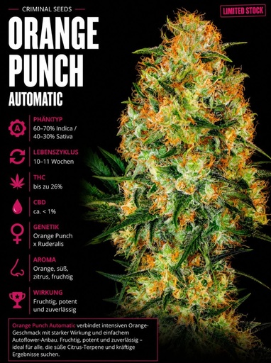 Criminal Seeds Orange Punch Auto Fem 3St.