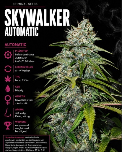 Criminal Seeds Skywalker Auto Fem 3St.