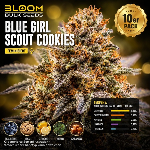 Bloom Bulk Seeds Blue Girl Scout Cookies Fem 10St.